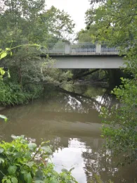 Schwarzach (Burgthann)-3