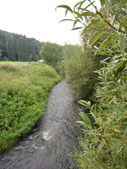 Schwarzach (Burgthann)-4