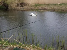 Stremme (Rathenow)-3