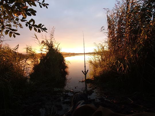 Hopfensee
