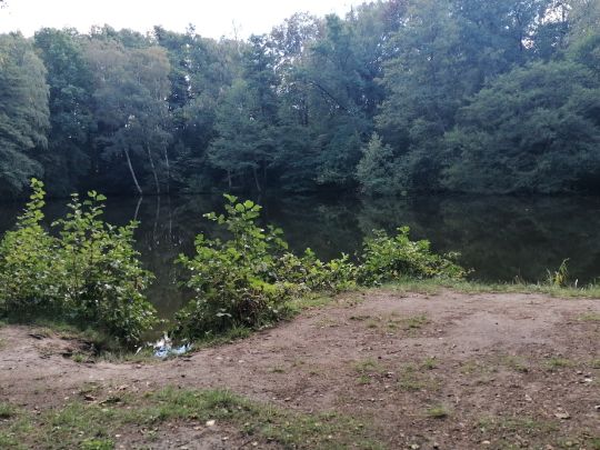 Grube Minna (Kassieck)