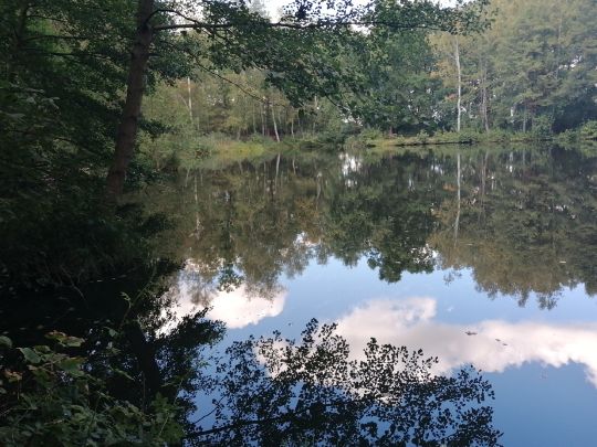 Grube Minna (Kassieck)-2