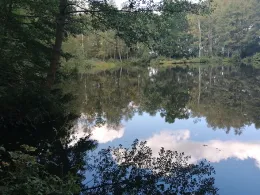 Grube Minna (Kassieck)-2