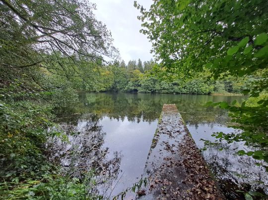 Jägerweiher (Neukirch)-1