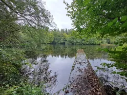Jägerweiher (Neukirch)-1