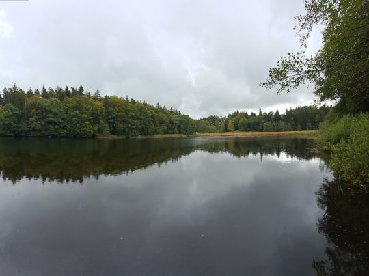 Jägerweiher (Neukirch)-3