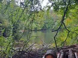 Jägerweiher (Neukirch)-2