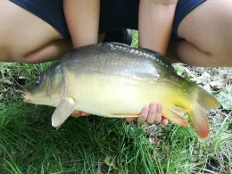 Trafoweiher (Kirchfarrnbach)