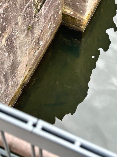 Ludwig-Donau-Main-Kanal (Worzeldorf)-3