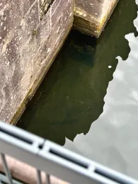 Ludwig-Donau-Main-Kanal (Worzeldorf)-3