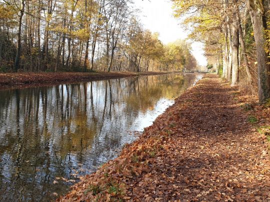 Ludwig-Donau-Main-Kanal (Worzeldorf)-4