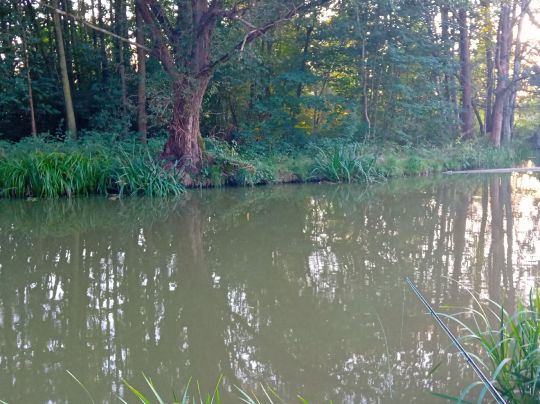 Kleine Spree (Milkel)-2