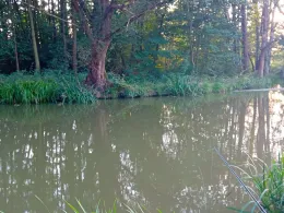 Kleine Spree (Milkel)-2