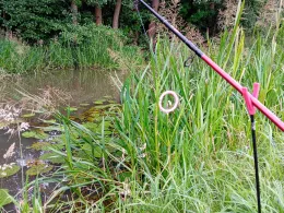 Kleine Spree (Milkel)-4