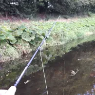 Steinfurter Aa (Steinfurt)