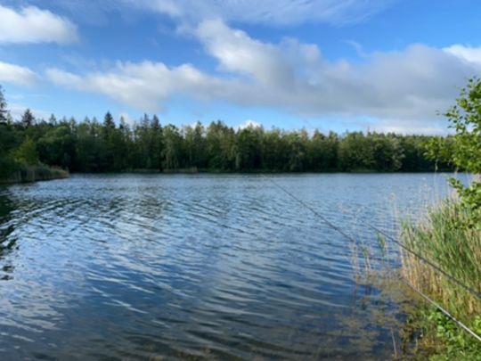 Anglerbund-See (Mintraching)-4