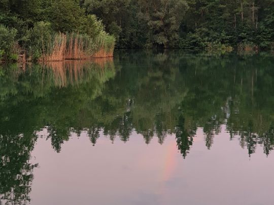 Anglerbund-See (Mintraching)-2