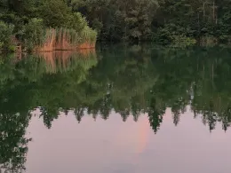 Anglerbund-See (Mintraching)-1