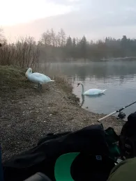 Anglerbund-See (Mintraching)-4