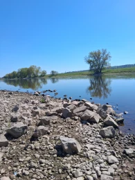Elbe (Radebeul)-4