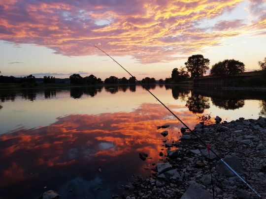Elbe (Radebeul)-3