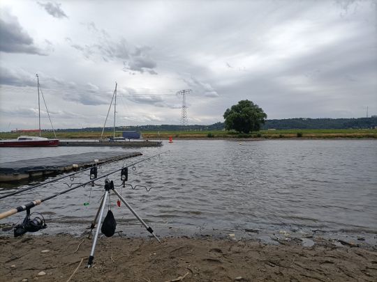 Elbe (Radebeul)-1