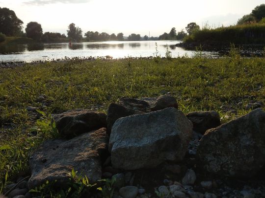 Elbe (Radebeul)-4