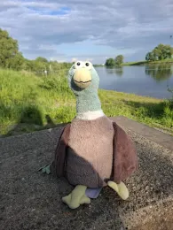 Elbe (Radebeul)-4
