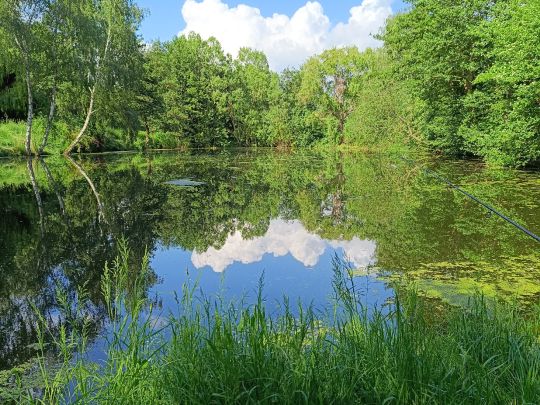 Rosenhagener Teiche (Erxleben)-2