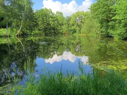 Rosenhagener Teiche (Erxleben)-2