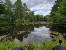 Rosenhagener Teiche (Erxleben)