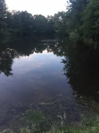 Rosenhagener Teiche (Erxleben)-1