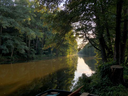 Finowkanal (Marienwerder)-2