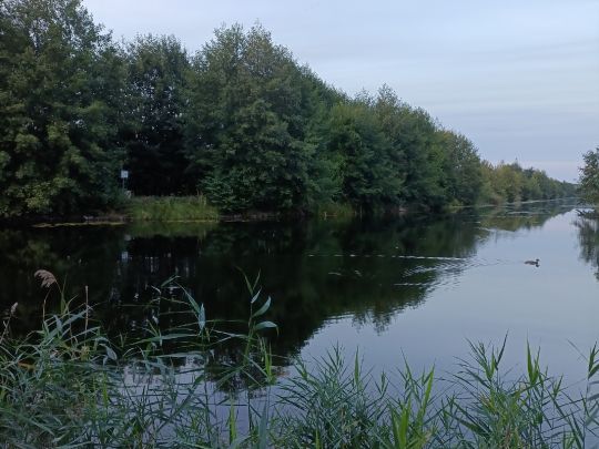 Finowkanal (Marienwerder)-3