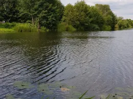 Finowkanal (Marienwerder)-1