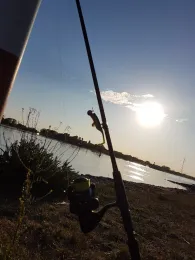 Weser (Bremen-Farge)