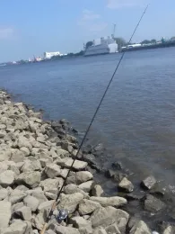 Weser (Bremen-Farge)-3