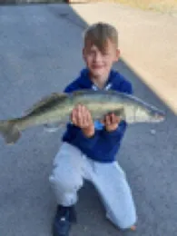 Weser (Bremen-Farge)-1