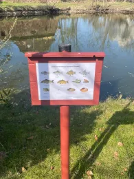 Dorfteich Süd (Schrenz)