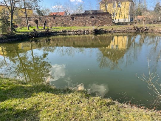 Dorfteich Süd (Schrenz)-2