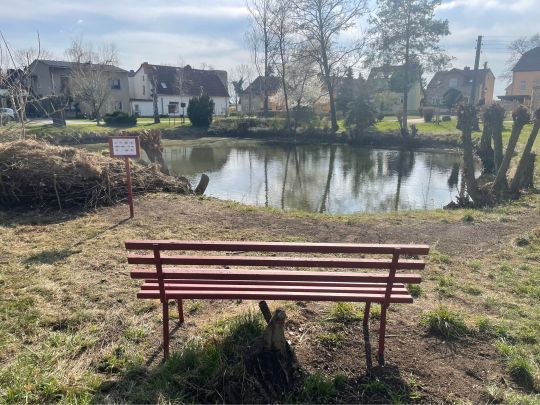 Dorfteich Süd (Schrenz)-4