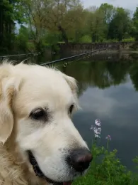 Burggraben Dreiborn-1