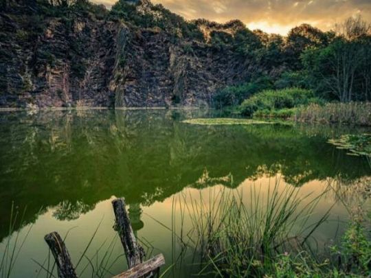 Goethebruch (Petersberg)-2