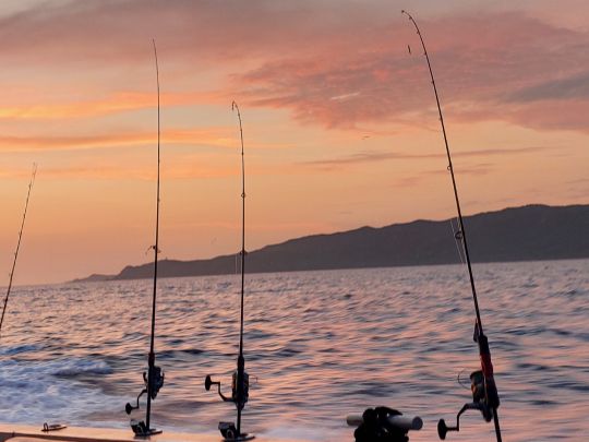 Mittelmeer (Korsika)-1