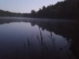 Tunxdorfer Waldsee-3