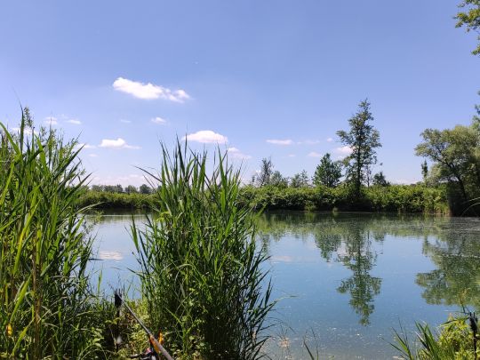 Allershausener Weiher (KFV Freising)