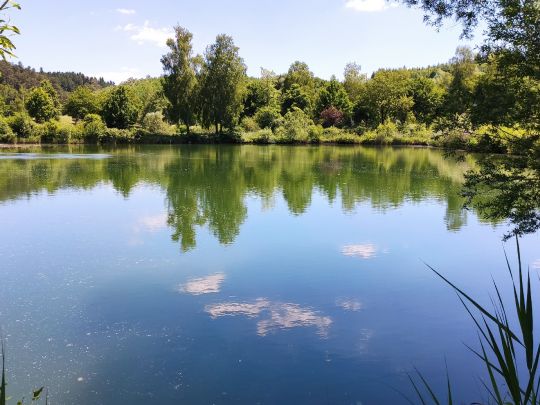 Allershausener Weiher (KFV Freising)-1