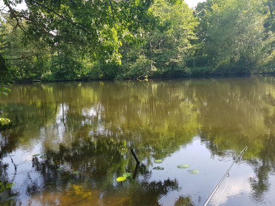 Heisinger Becken-0