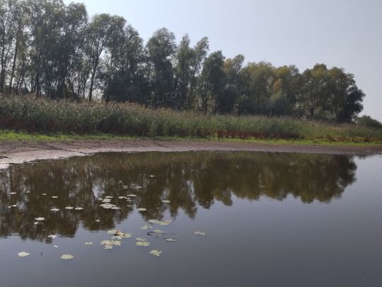 Großer Wröthsee (Zichow)-1