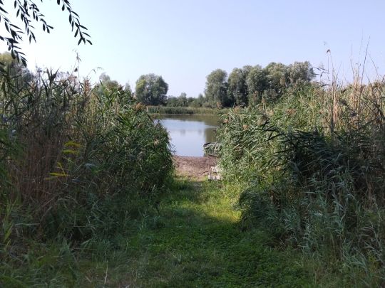 Großer Wröthsee (Zichow)-2